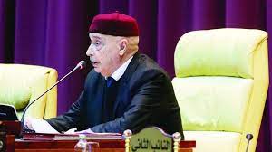 Libyan Parliament Approves Presidential Election Law
